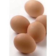 Куриные яйца фотография