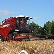 Комбайн зерноуборочный ПАЛЕССЕ GS10 фото