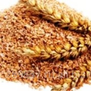Отруби пшеничные распушные