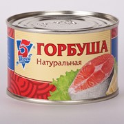 Горбуша 5 Морей фото