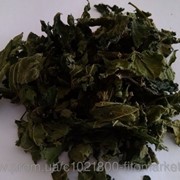 Крапива двудомная (Urtica dioica) листья 100 грамм фото