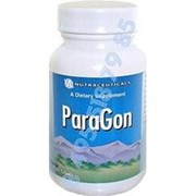Парагон - противоглистный препарат 60 капсул фото