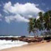 Пляжный отдых на Шри-Ланке фото