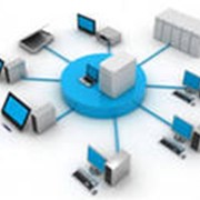 Организация горячей линии фото