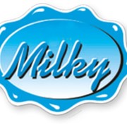 Оборудование для переработки молока и изготовления сыров MILKY фото