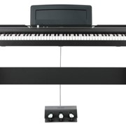 Цифровое пианино Korg SP-170DX (BK) фотография
