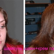 Шампунь шаин для лечения волос и кожи + крем гор - 65