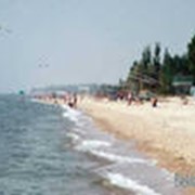 Летний отдых фото