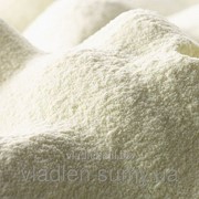 Сухое молоко обезжиренное Skimmed Milk Powder, 1,5 % (SMP) фотография