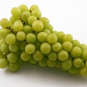 Белый виноград оптом фотография