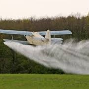 Обработка гуматами фото