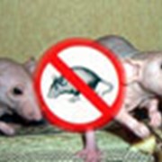 Дезинфекция фото