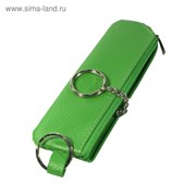 Футляр для ключей на молнии, цвет зелёный фотография