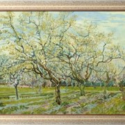 Картина Белый сад, Винсент ван Гог фотография