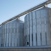 Силос на бетонном основании типа МСВУ - сборные металлические зернохранилища для хранения очищенных зернопродуктов с кондиционной влажностью не более 14 %.