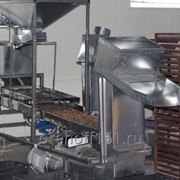 Аспирация, Оборудование для переработки орехов 65000 руб. шт. фотография