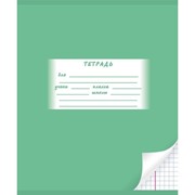 Тетрадь школьная А5 12л,клетка,скрепка Однотонная. С уголком ТШ12К607/6 фото