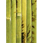Бамбуковое полотно фото