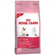 Корм для котов Royal Canin Kitten 0.4 кг фотография