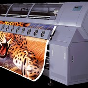 Печать широкоформатная на виниле, сетке, бумаге, самоклейке фотография