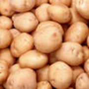 Картофель нового урожая фото