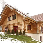 Рубленные дома фото