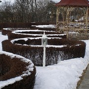 Посадка живых изгородей фотография