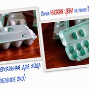 Упаковка для яйца UE-10 SU (зеленое эко) фотография