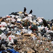 Вывоз строймусора фото