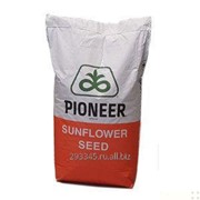Гибриды семян подсолнечника ПИОНЕР (PIONEER) фото