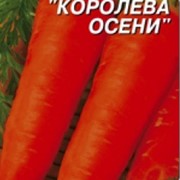 Семена моркови. Семена Морковь Королева Осени (3 г) фото