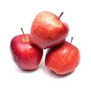 Яблоки “Глостер“ фото
