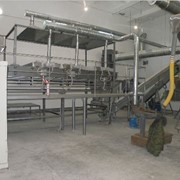 Участок ИК-обработки зерна при выработке кормов фото