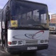 Аренда автобуса Iveco фото