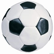 Футбольный мяч фото