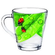 Кружка для чая “Живая природа. Зеленый лист“ 250мл. 1649-Д фото