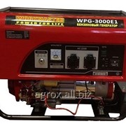 Бензиновый генератор WorkMaster WPG-3000E1 фотография