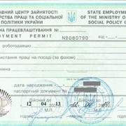 Разрешение на трудоустройство иностранных граждан