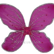 Крила феї, крила метелика фото