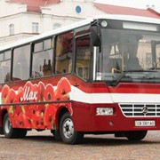 Автобус туристичний “МАК“ ЧАЗ А083.10 фото