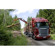 Услуги лесовоза SCANIA (длина до 6 м) с гидроманипулятором + прицеп (длина 8-9 м) фото