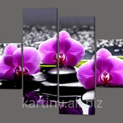Модульная картина, панно Три орхидеи (код 231)
