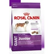 Корм для собак Royal Canin Giant Junior 4 кг фотография