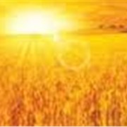 Десикант Торнадо фото