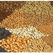 Экспорт масличных, зерновых и бобовых сельскохозяйственных культур фотография