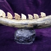 Композиция “Путешествие“ фото