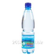 Питьевая столовая негазированная вода Шаянская Родниковая 0,5 л, 14 бут. х 0,5 л фото