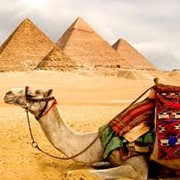 Авиатуры Египет фотография