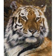 Набор для вышивки Тигр 40х50см 0043 фото