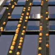 Сортировщик,калибровщик для фруктов,овощей фото